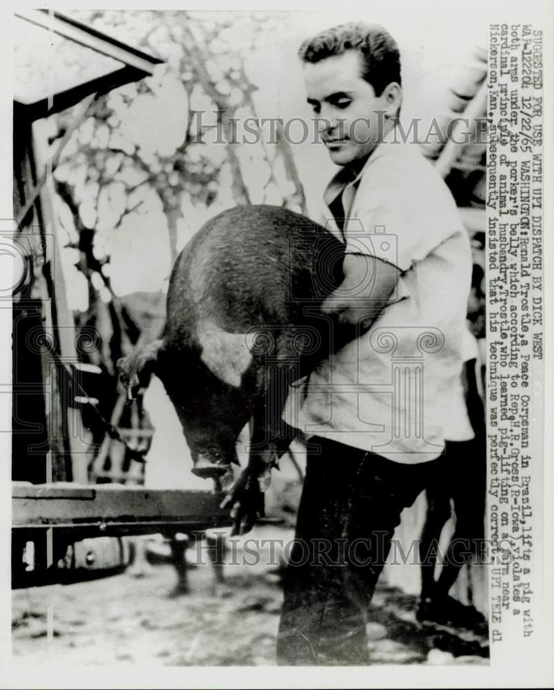 1965 Press Photo Ronald Trostle lifts pig with both arms under belly, Washington- Historic Images