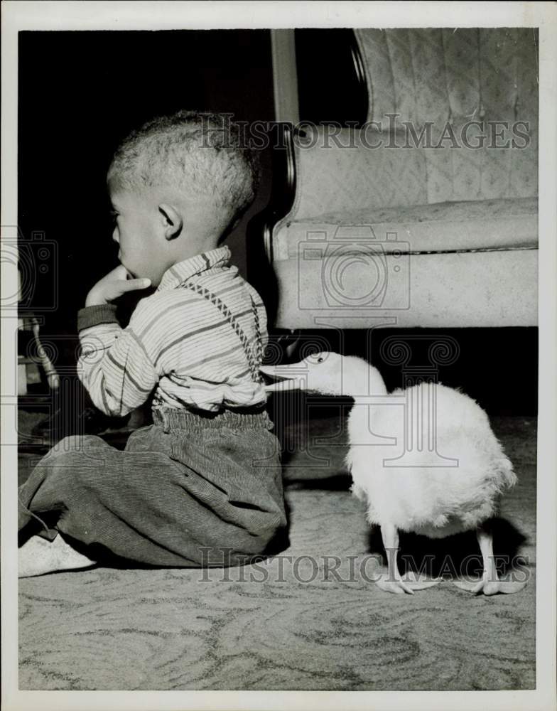 1959 Press Photo Tony Laury and pet duck Corky at home in Hartford, Connecticut- Historic Images