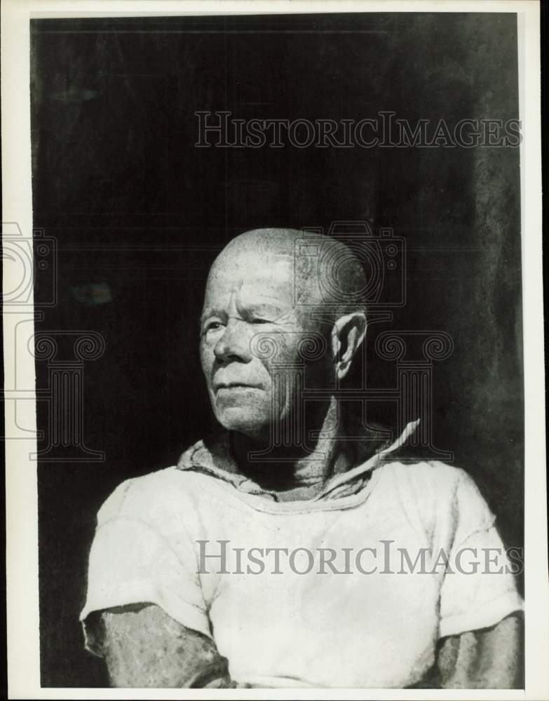 1970 Press Photo &quot;The Finn&quot; painting by Andrew Wyeth - kfa30290- Historic Images