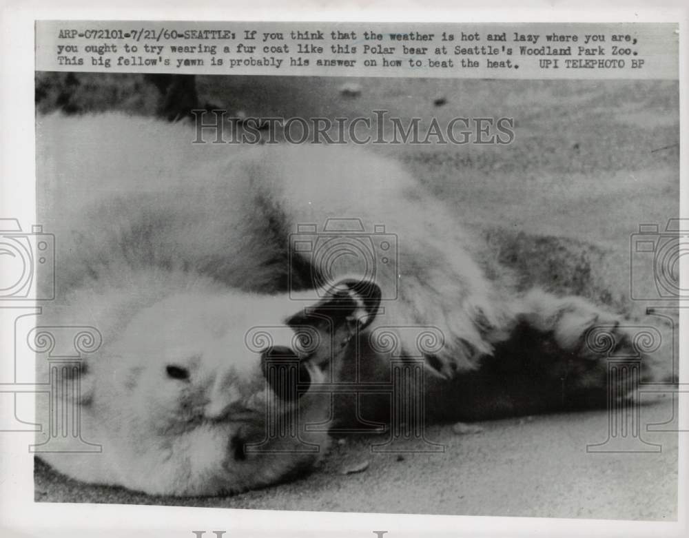 1960 Press Photo Polar bear yawns at Seattle's Woodland Park Zoo. - kfx19526- Historic Images