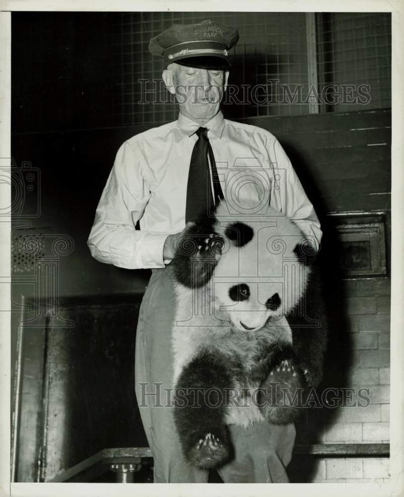 Press Photo Zookeeper with a Panda cub at the Bronx Zoo. - kfx24536- Historic Images
