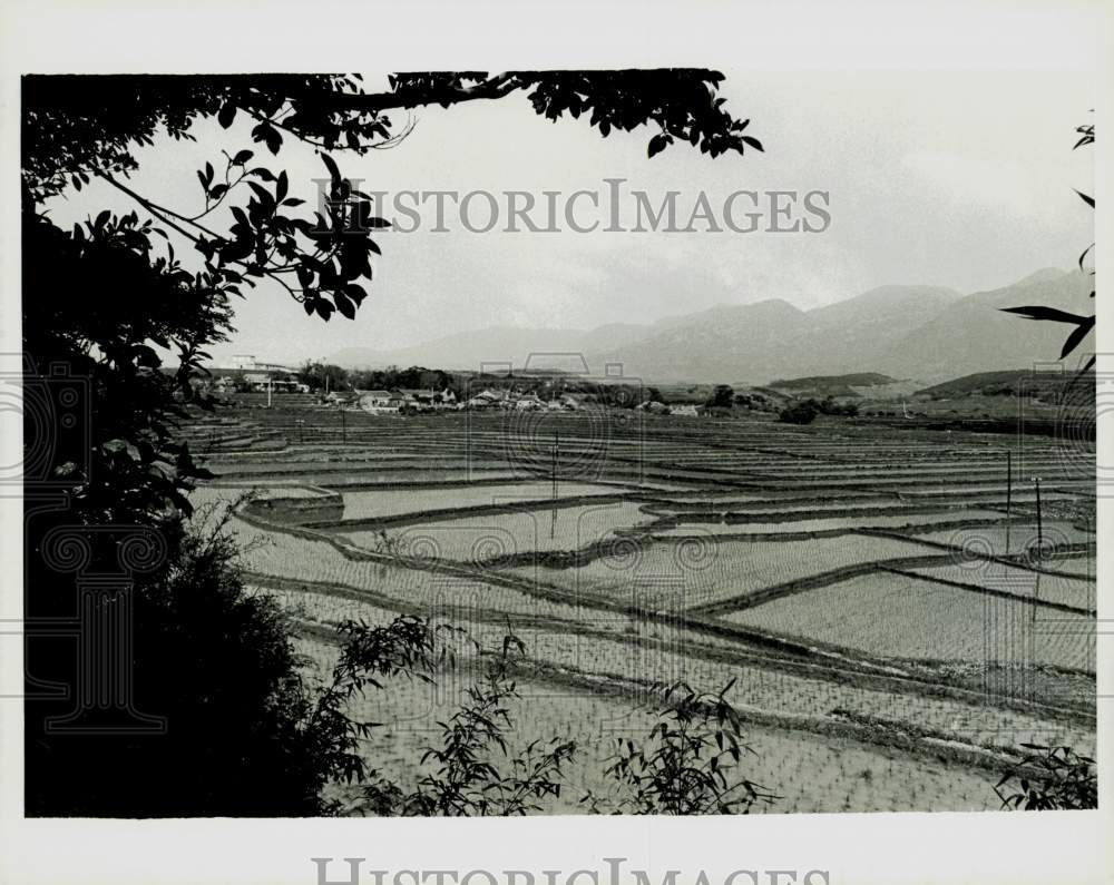 1970 Press Photo Terraced fields of rice along the north coast of Taiwan- Historic Images