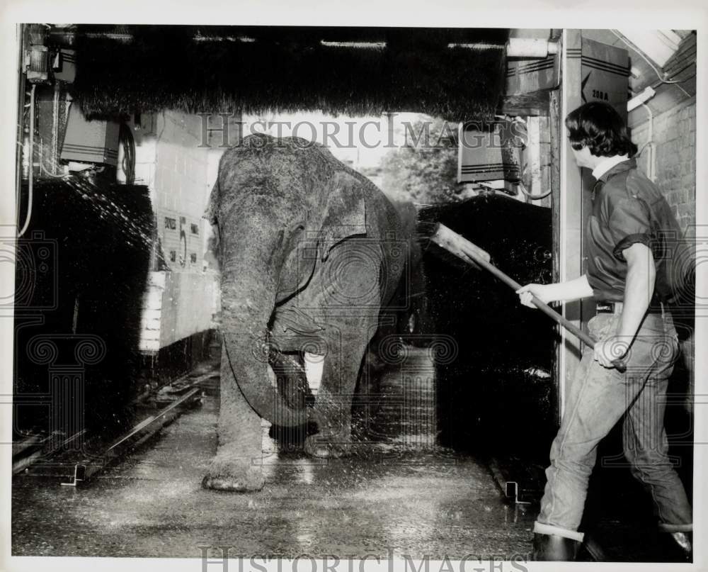 1970 Press Photo Gigi the Elephant gets Washed in Bournemouth, England- Historic Images