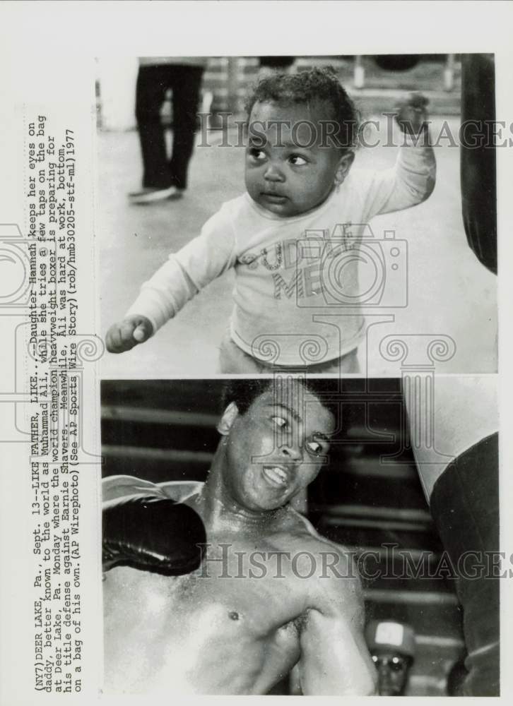 1977 Press Photo Muhammad Ali&#39;s Daughter Hana Taps Bag as Dad Works Out, PA- Historic Images