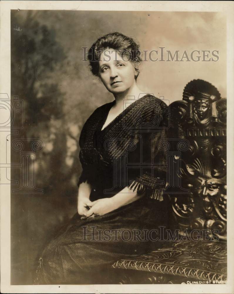 1919 Press Photo Pan-American Scientific Congress secretary Mrs. Glen Swiggett- Historic Images