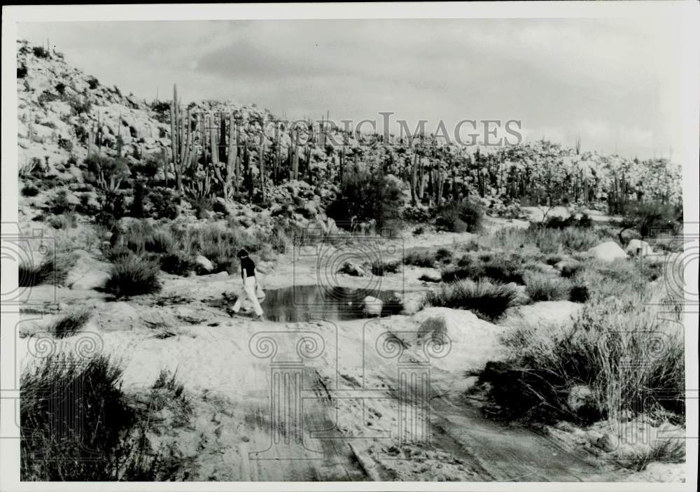 1973 Press Photo Sid Moody surveys hazard en route on Route 1 down Baja Calif.- Historic Images