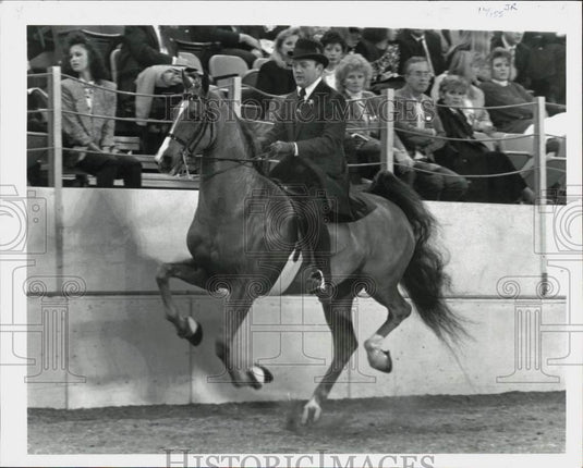 1990 Press Photo Rick Wallen on Callaway's Mr. Republican at American Royal- Historic Images
