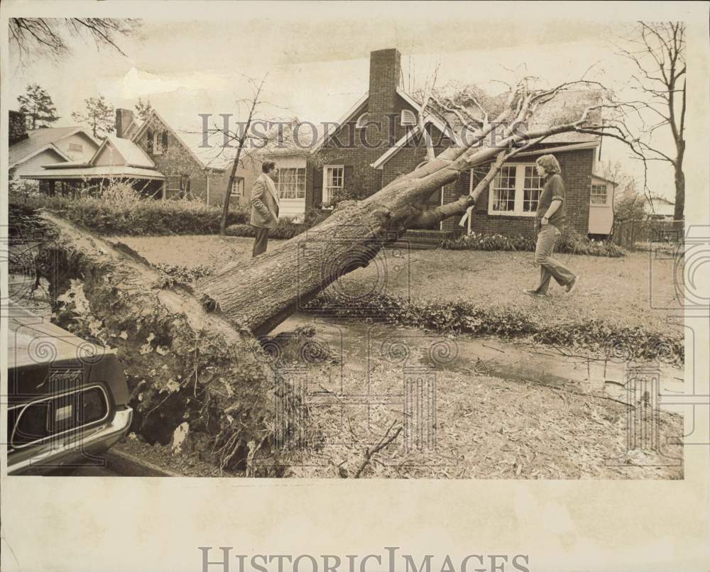 1975 Press Photo Uprooted tree on a house roof caused by tornado in Charlotte- Historic Images