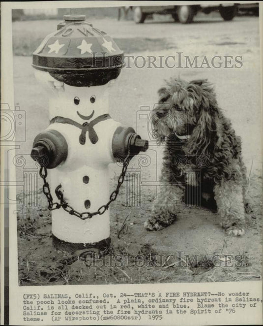 1975 Press Photo Dog with Patriotic Fire Hydrant in Salinas, California- Historic Images