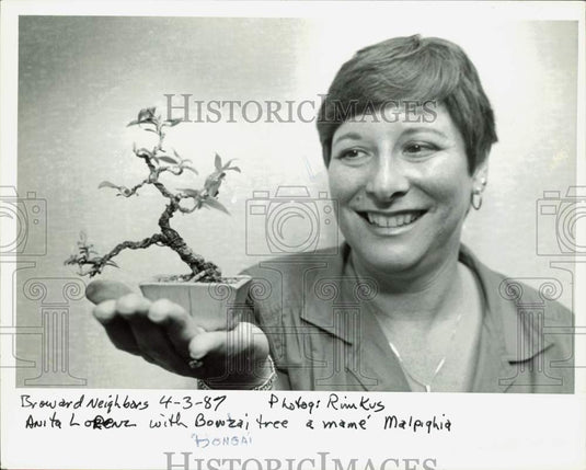 1987 Press Photo Anita Lorenz shows a bonsai tree - lra31127- Historic Images