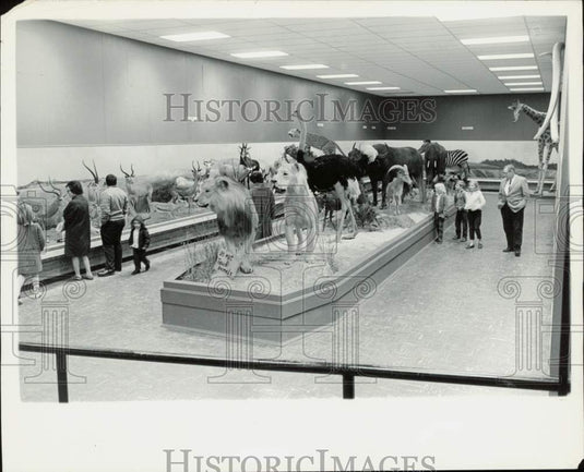 1971 Press Photo African Hall section at York County Museum - lra32780- Historic Images