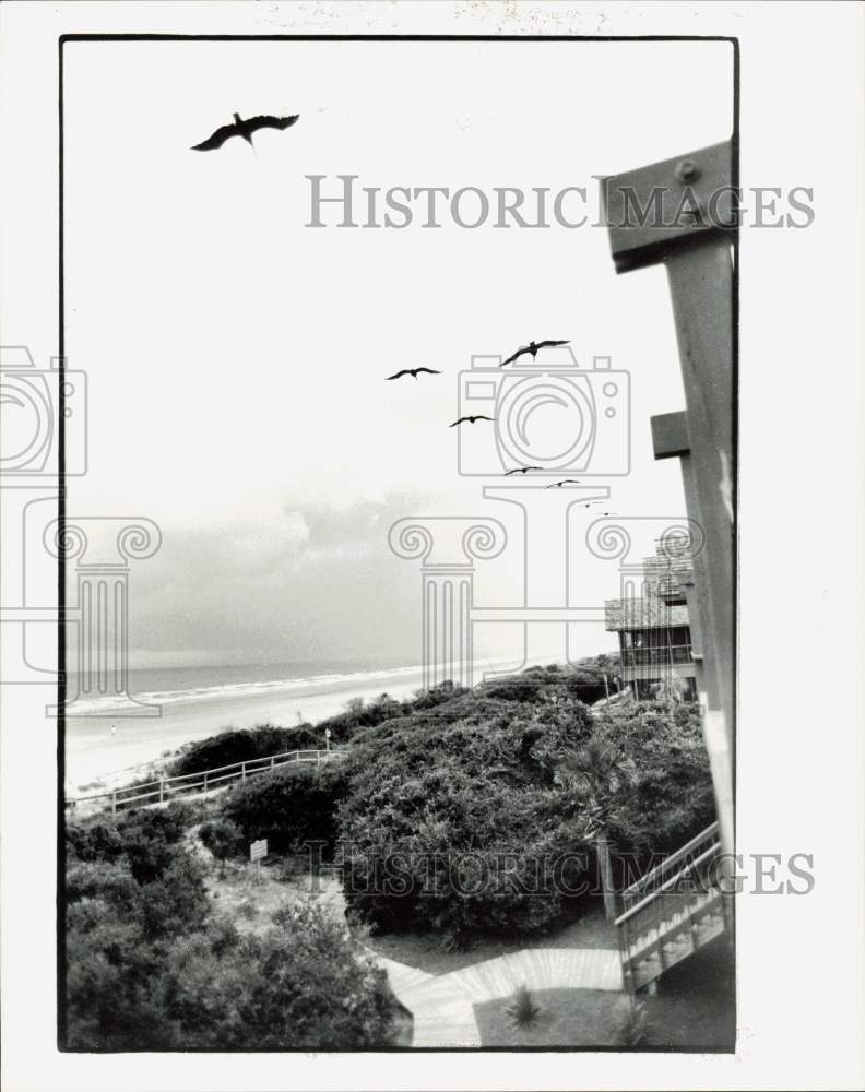 1989 Press Photo View of the beachfront on Kiawah Island - lra36321- Historic Images