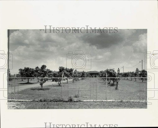 1990 Press Photo A view of Isabel Morales' farm in East Everglades, Florida- Historic Images