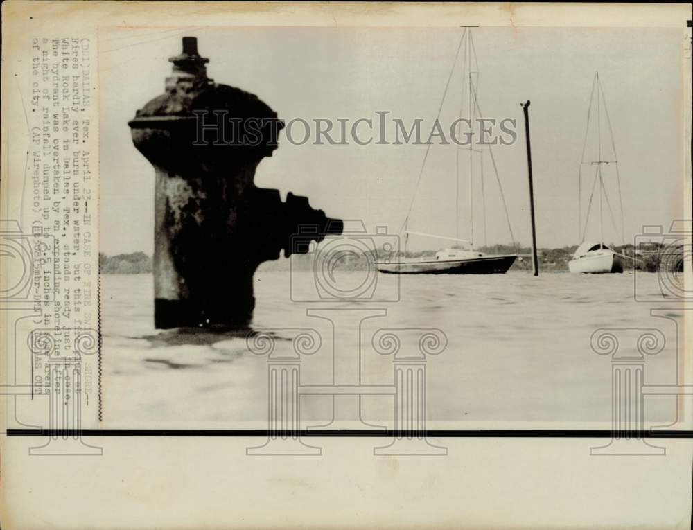 Press Photo Fire hydrant at White Rock Lake in Dallas - lra39271- Historic Images