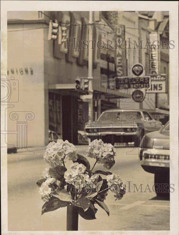 1972 Press Photo Flowers on parking meter stands in Gaffney - lra43689- Historic Images