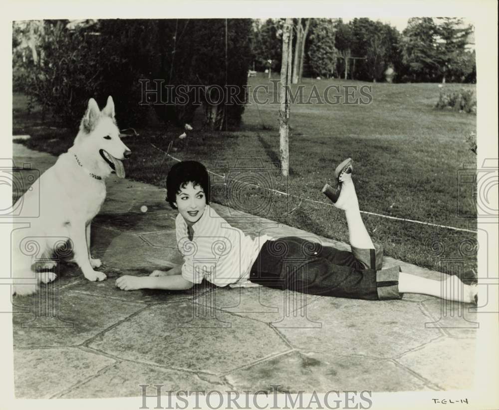 Press Photo Actress Gina Lollobrigida poses with a dog - lra53871- Historic Images