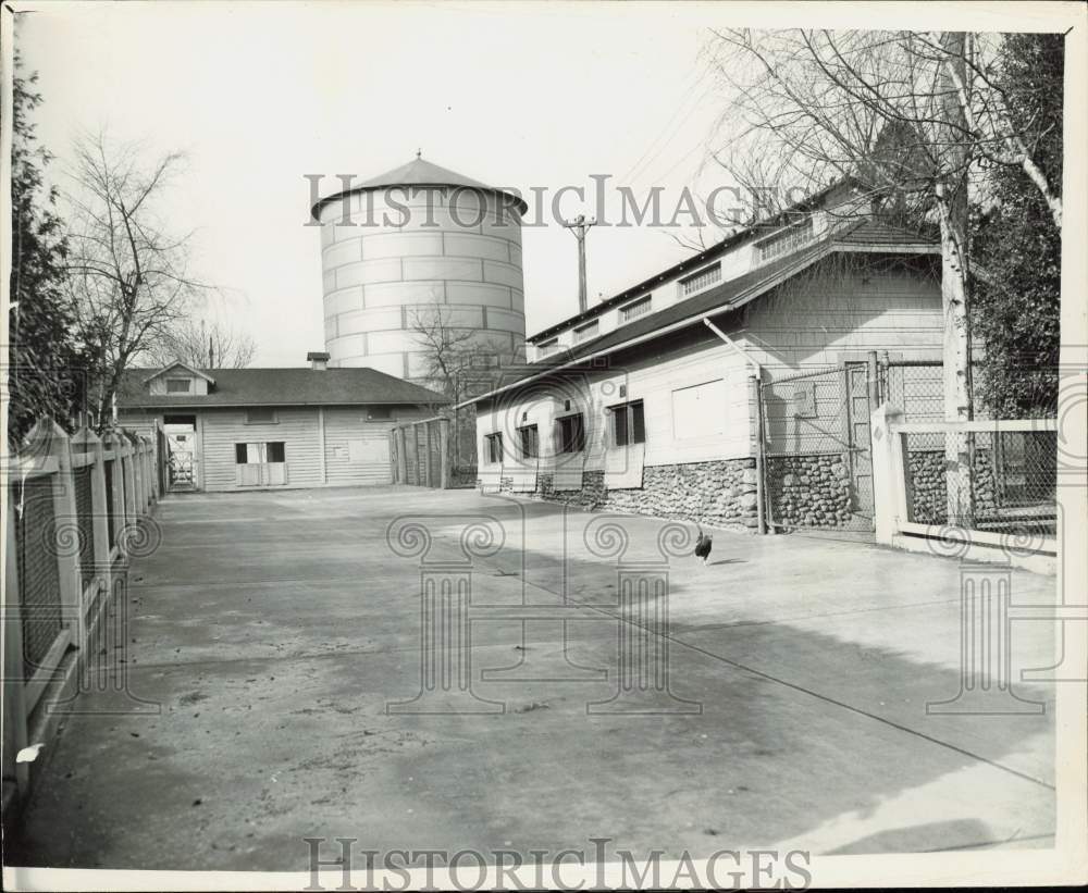 1948 Press Photo View of kangaroo den and mountain goats&#39; pen - lra70352- Historic Images