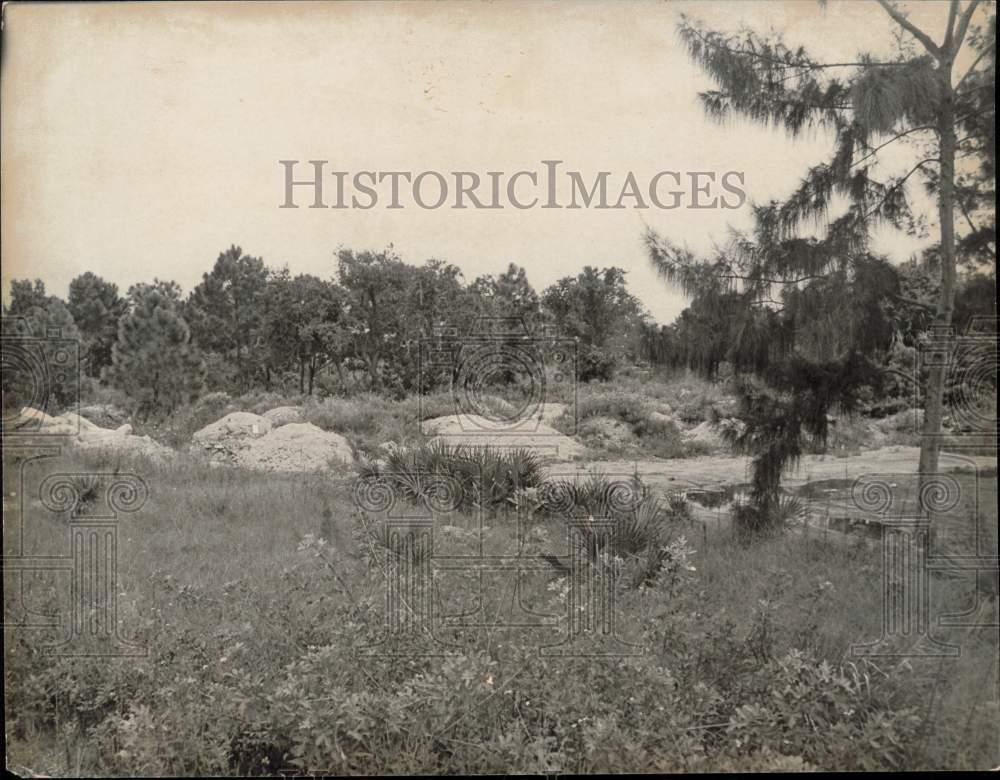 1973 Press Photo A view of the Arch Creek area - lra75624- Historic Images