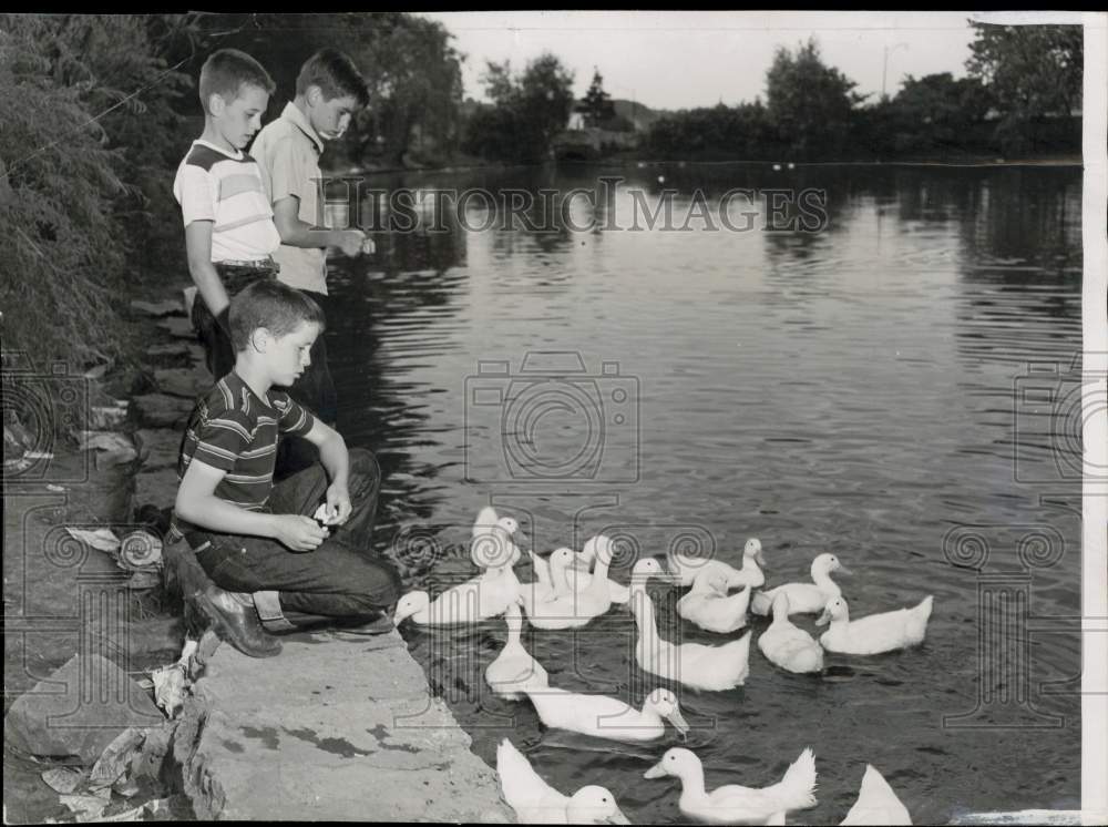 1952 Press Photo Boys feeding ducks at the Park - lra83913- Historic Images