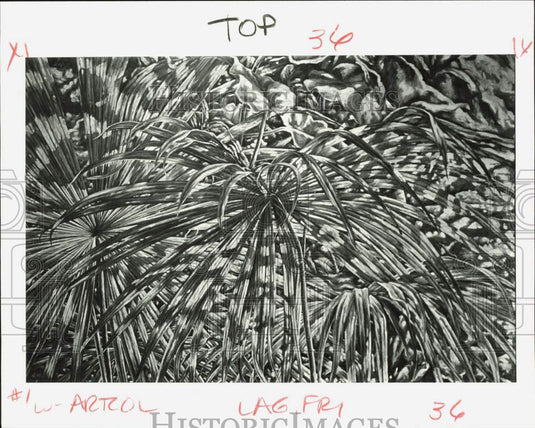 1988 Press Photo "Deslumbramiento Mayor" by Adriano Lambre, Contemporary Center- Historic Images