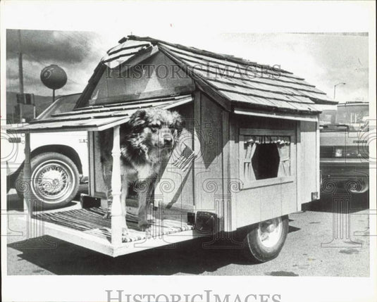 1982 Press Photo Dog Gypsy in her newly built travel home in Ashland, Oregon- Historic Images