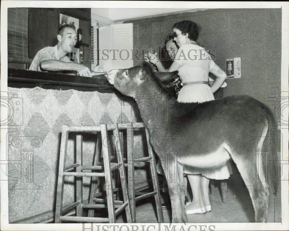 1955 Press Photo Bartender serving drink to a donkey at his establishment- Historic Images