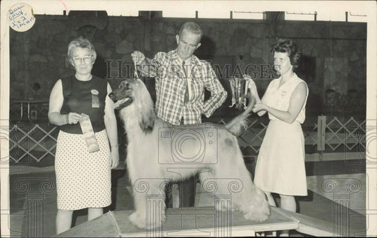 1967 Press Photo Champion Laren Tree's Lord Jefrii with people at dog show- Historic Images