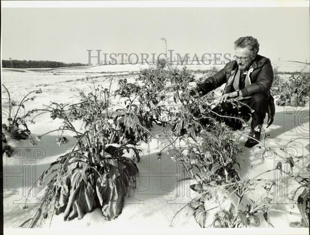 1980 Press Photo Robert Rodale checks Chinese winter vegetables at farm, Emmaus- Historic Images