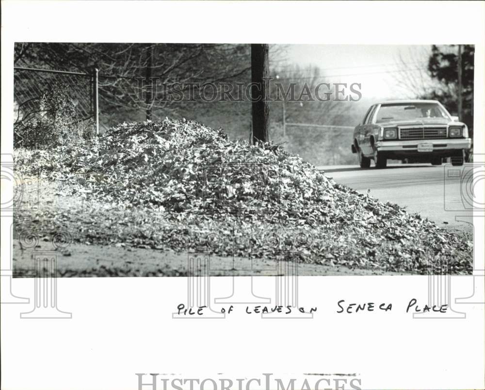 1980 Press Photo Car drives past a pile of leaves on Seneca Place in Charlotte- Historic Images