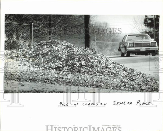 1980 Press Photo Car drives past a pile of leaves on Seneca Place in Charlotte- Historic Images
