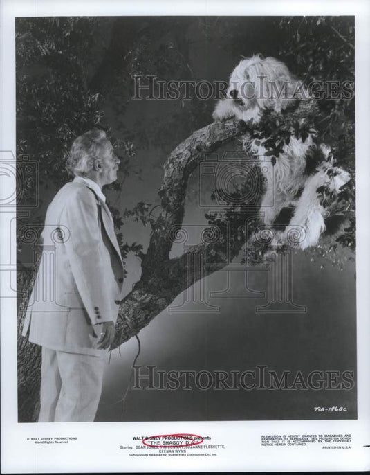 Press Photo Keenan Wynn strs in a scene from "The Shaggy D. A." - lrp53543- Historic Images