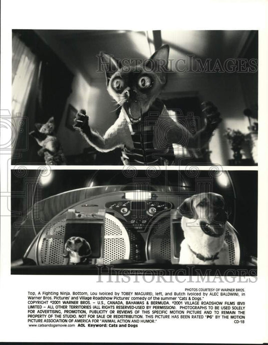 2001 Press Photo "Cats & Dogs" Movie Scenes - lrp74926- Historic Images