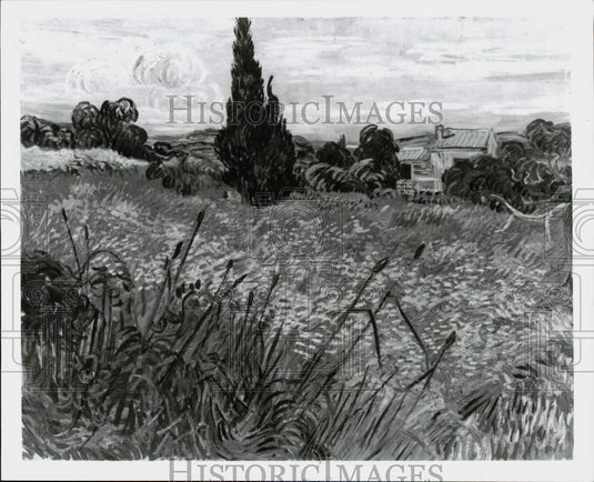 Press Photo "Wheat Field" Painting by Vincent van Gogh - lrp88826- Historic Images