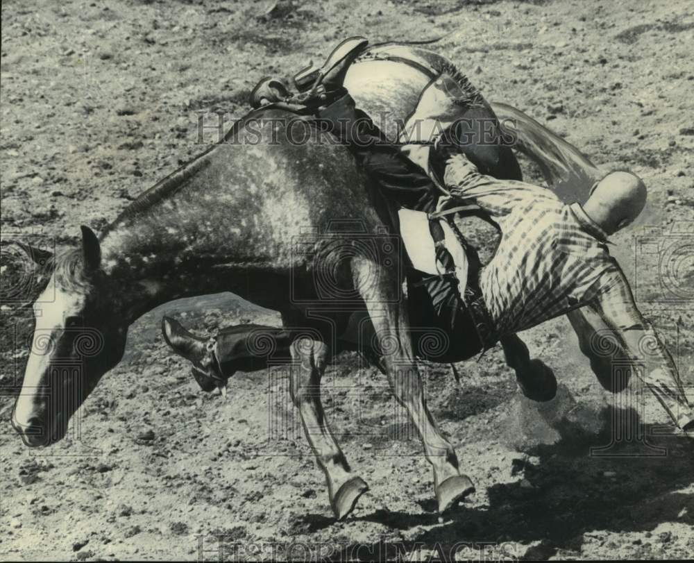 1965 Press Photo Carl Melusky rides bronco named Armstrong at Enumclaw Rodeo- Historic Images