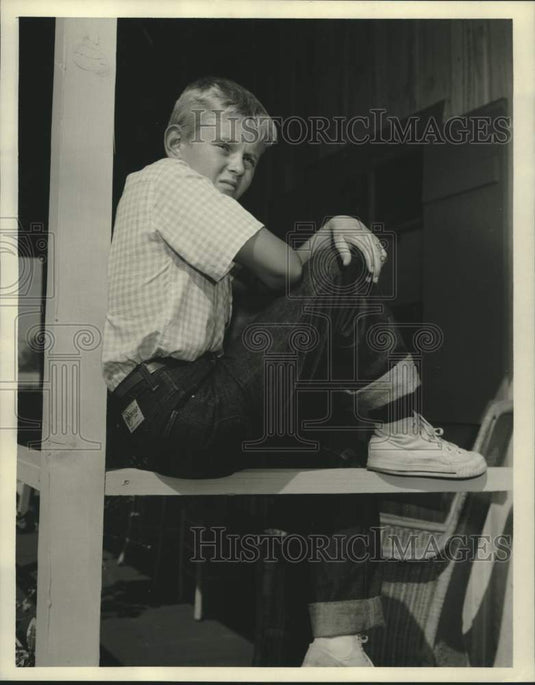 1963 Press Photo Michael Winkelman stars in a scene from "The Real McCoys"- Historic Images