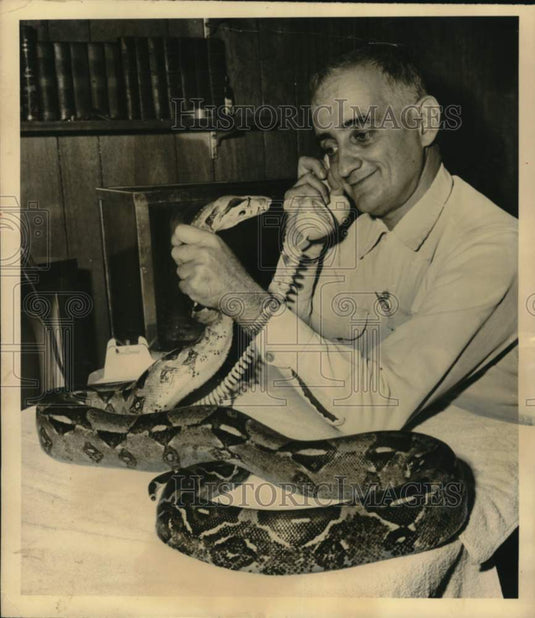 1963 Press Photo Herbert Bernstein with Snake at home in Long Island - lrx62037- Historic Images
