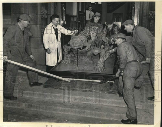 1948 Press Photo Workmen move fossil from University of Chicago to Museum- Historic Images