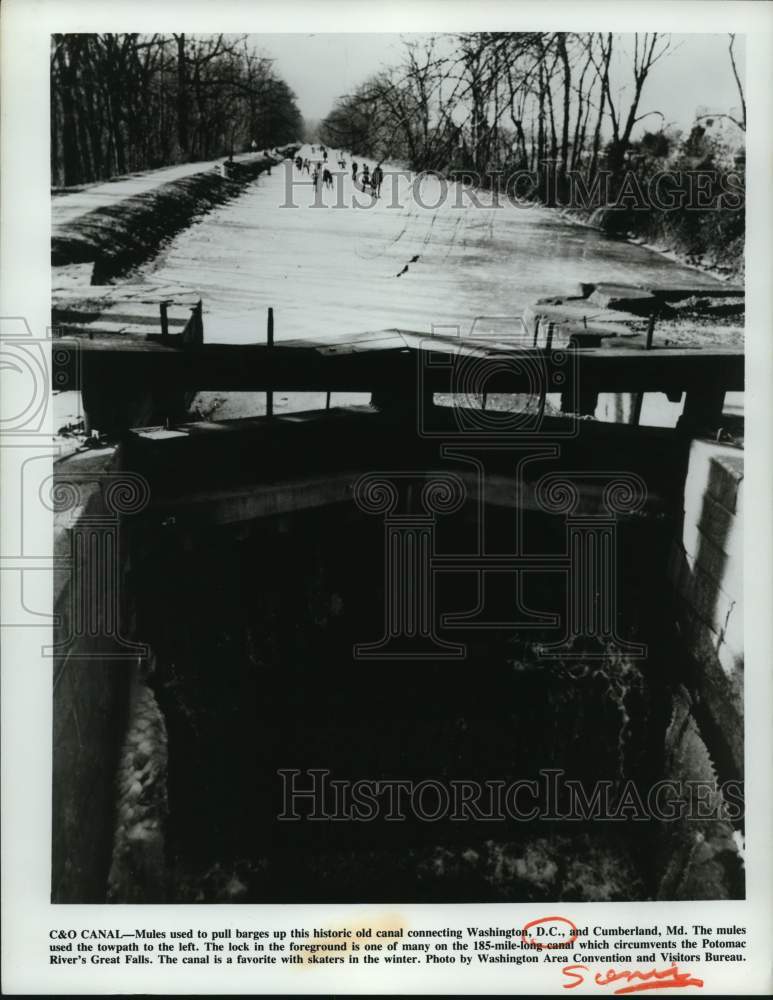 1974 Press Photo Mules pull a barge along the Chesapeake &amp; Ohio Canal Washington- Historic Images