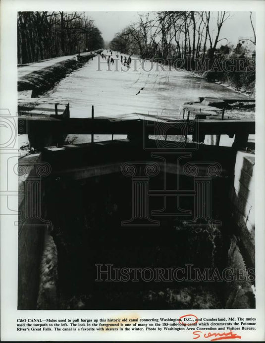 1974 Press Photo Mules pull a barge along the Chesapeake & Ohio Canal Washington- Historic Images