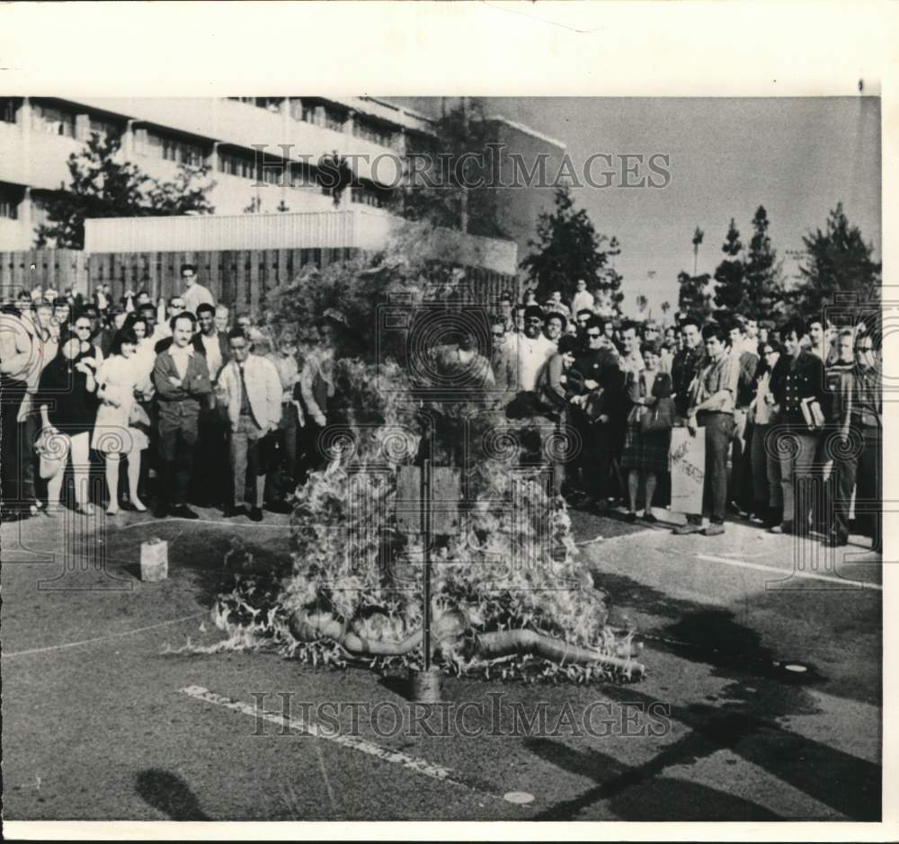 1967 Press Photo Demonstrators at the California State College burn a mannequin- Historic Images