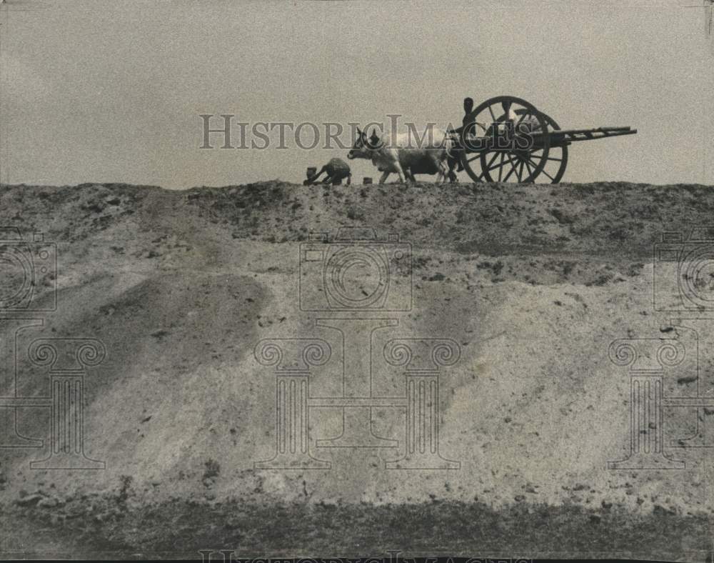 1967 Press Photo A bullock cart at an Indian Agricultural farm-India - lrx75366- Historic Images