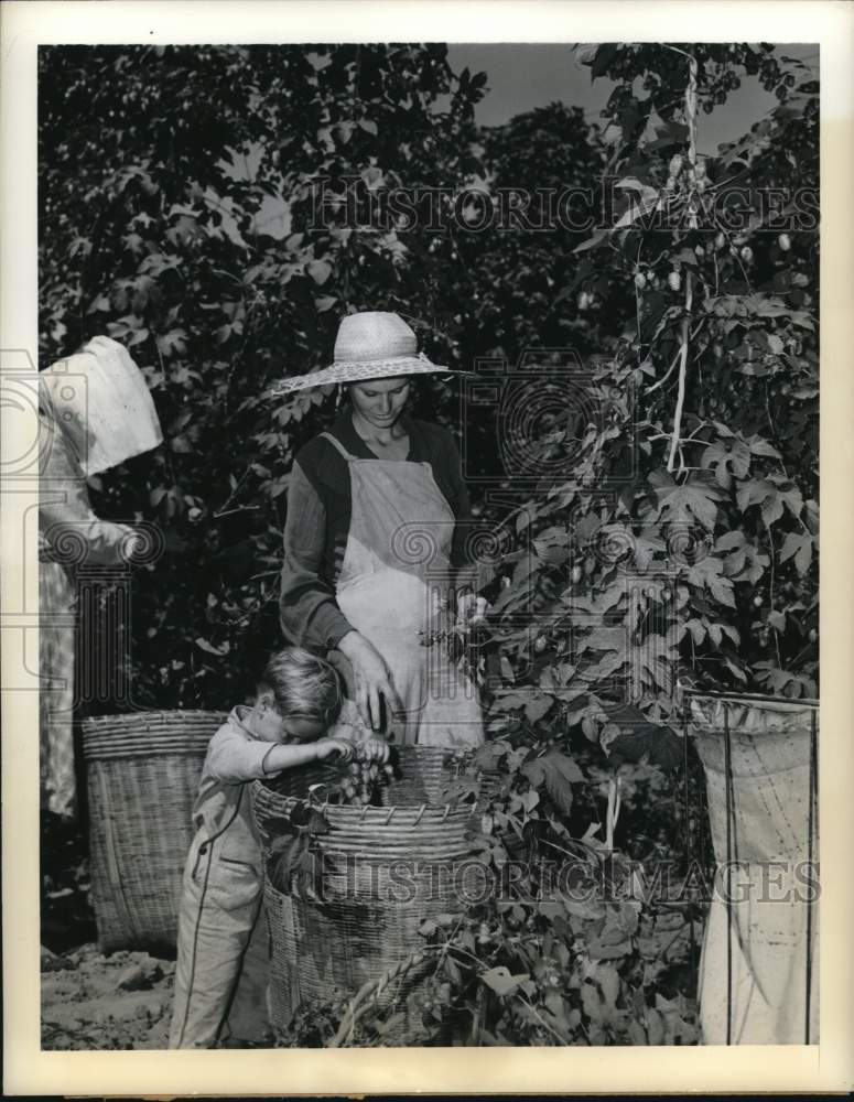 1941 Press Photo Youngster Stays Close to Mother During Hop Harvesting Season- Historic Images