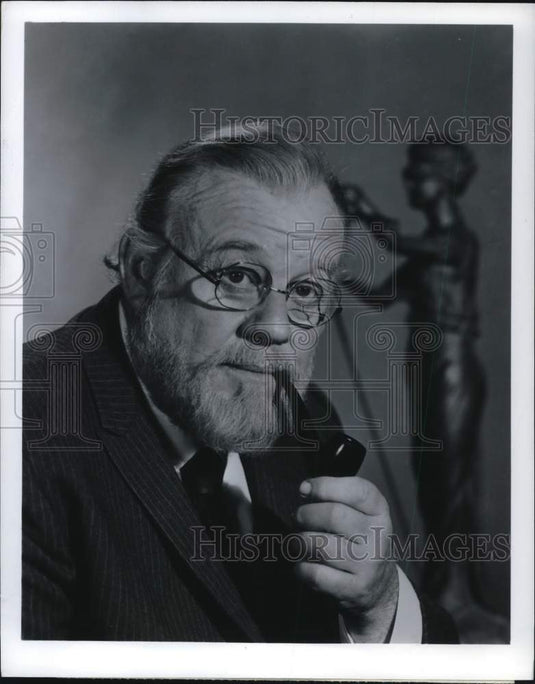 1969 Press Photo Burl Ives stars in The Lawyers portion of "The Bold Ones"- Historic Images