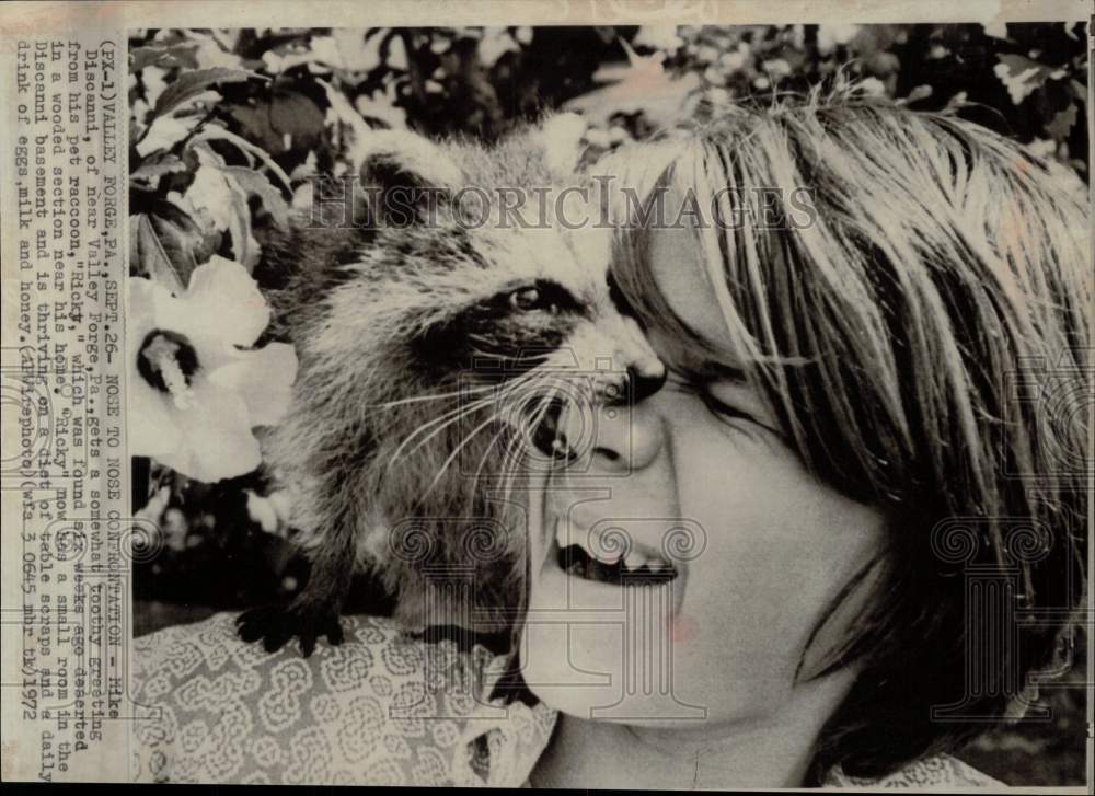 1972 Press Photo Mike Discanni and his pet raccoon in Valley Forge, PA- Historic Images