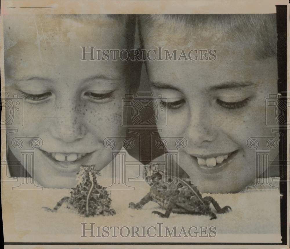 1967 Press Photo Children watching horned toads in Orlando, Florida. - lry24042- Historic Images