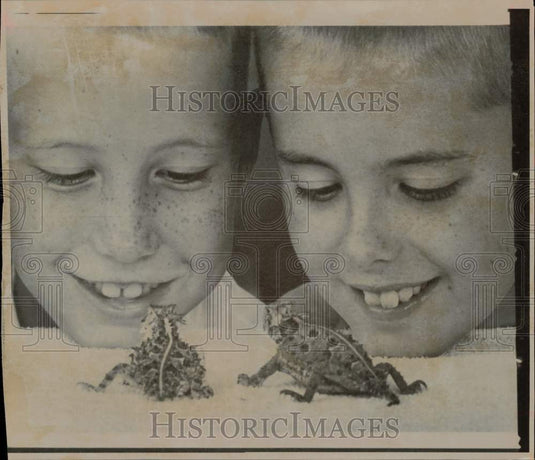 1967 Press Photo Children watching horned toads in Orlando, Florida. - lry24042- Historic Images