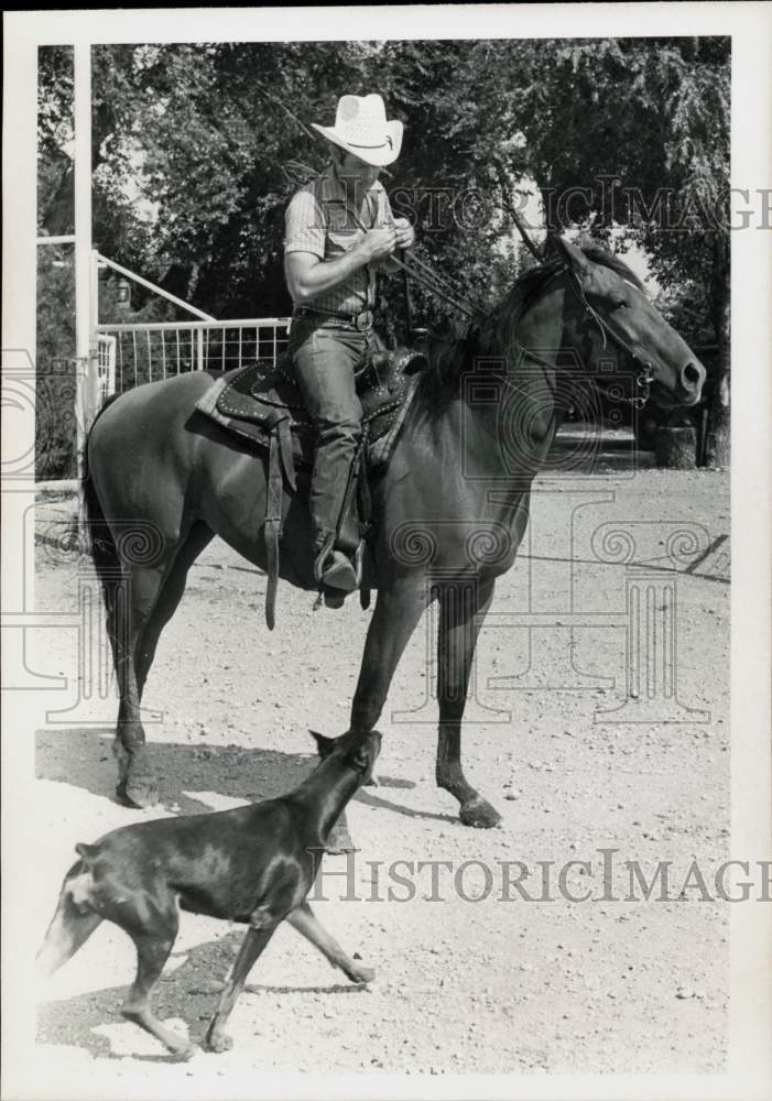 1977 Press Photo Bud Sankey on a 3-Year-Old Mare - lry25966- Historic Images