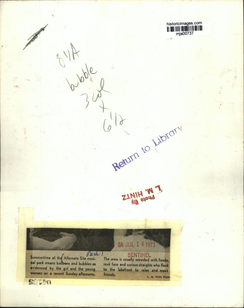 1973 Press Photo Crowd during Summertime at Alternate Site musical park