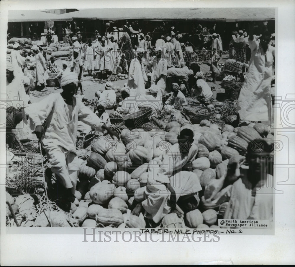 1950 Press Photo The rich farming land of the Nile delta produces an abundance- Historic Images