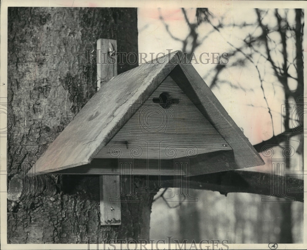 1952 Press Photo Wren Bird House - Historic Images